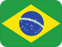 Flag of Brazil region